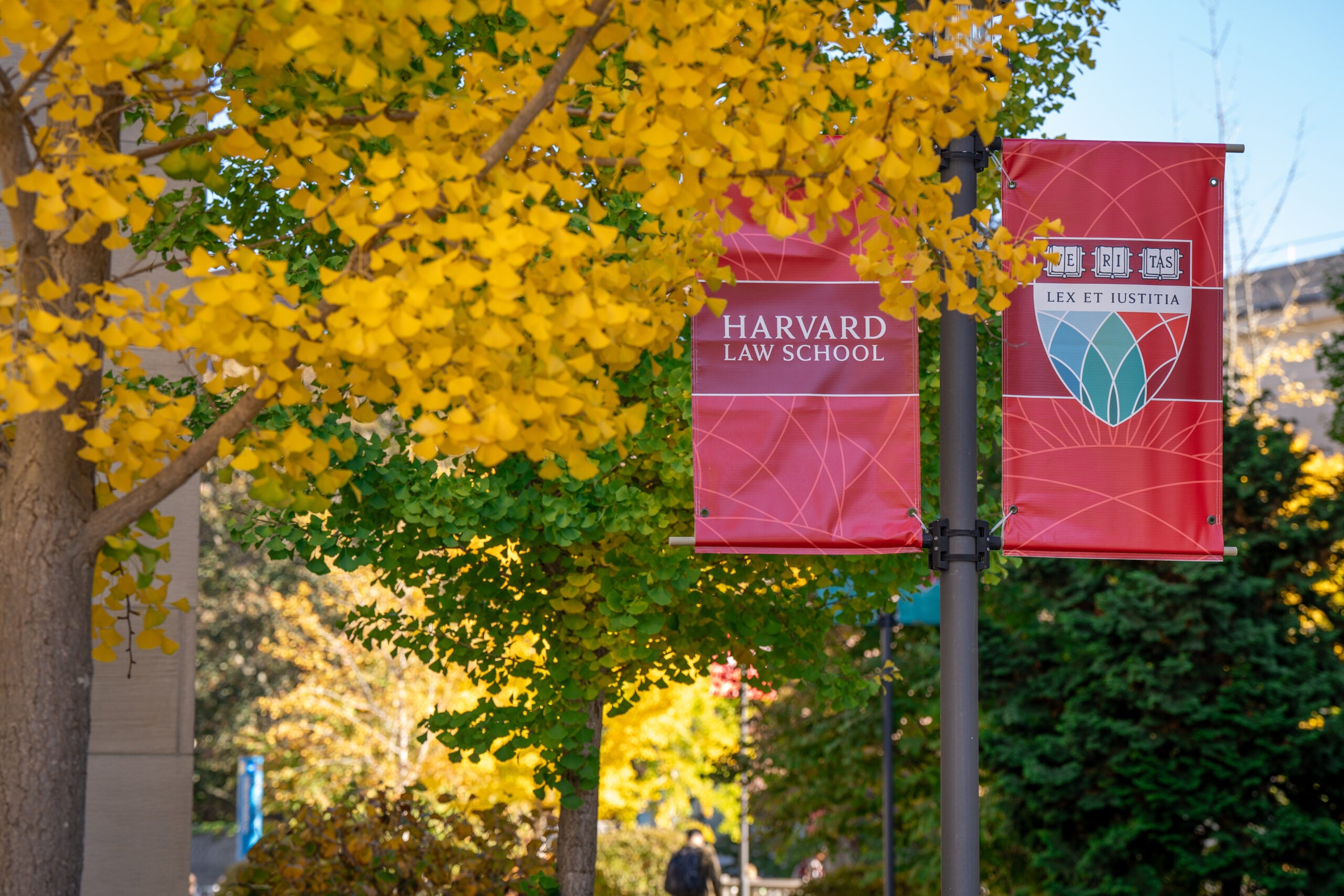 Fall leaves in front of a banner that reads 