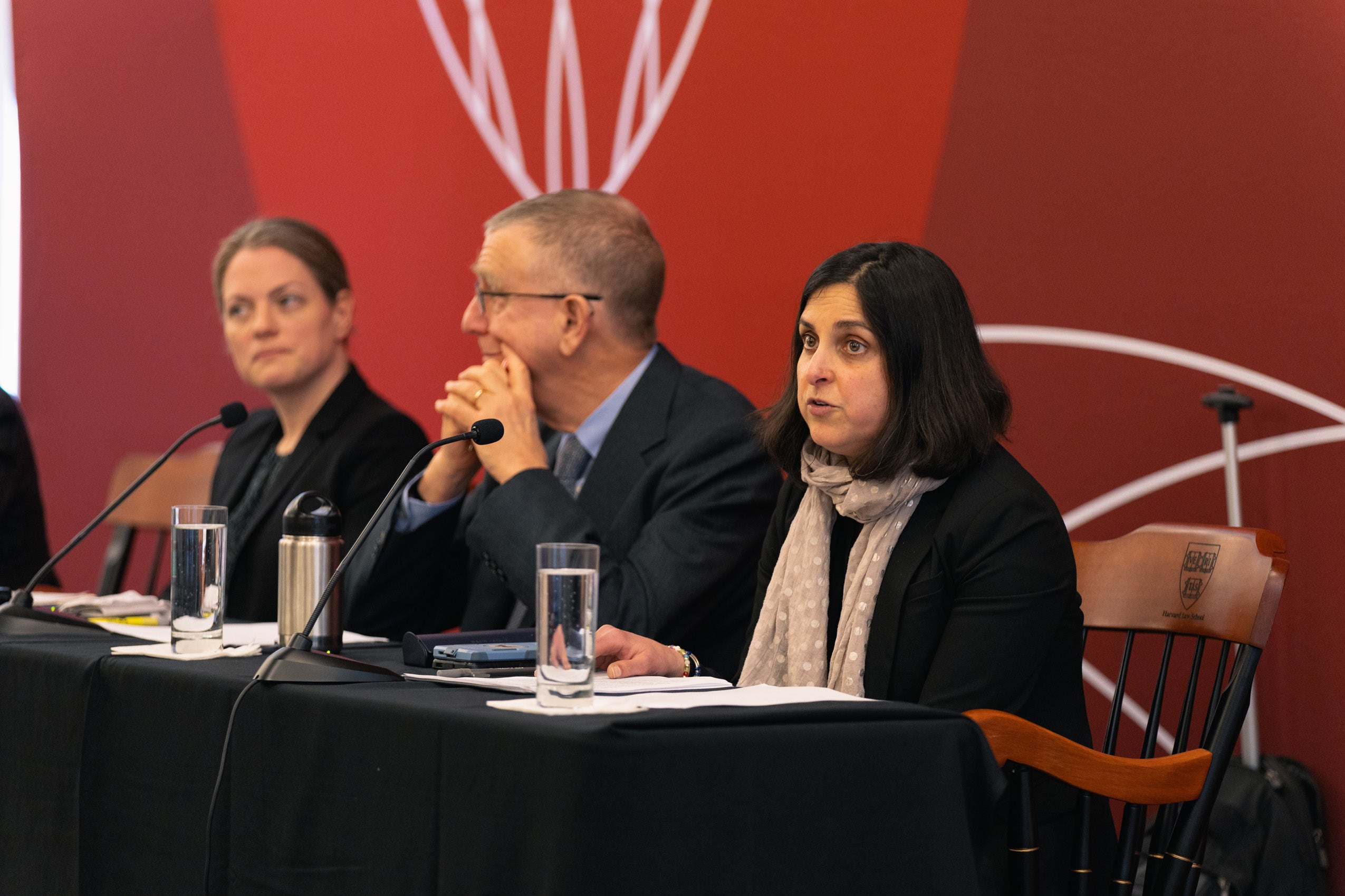 Sabrineh Ardalan speaks on a panel.