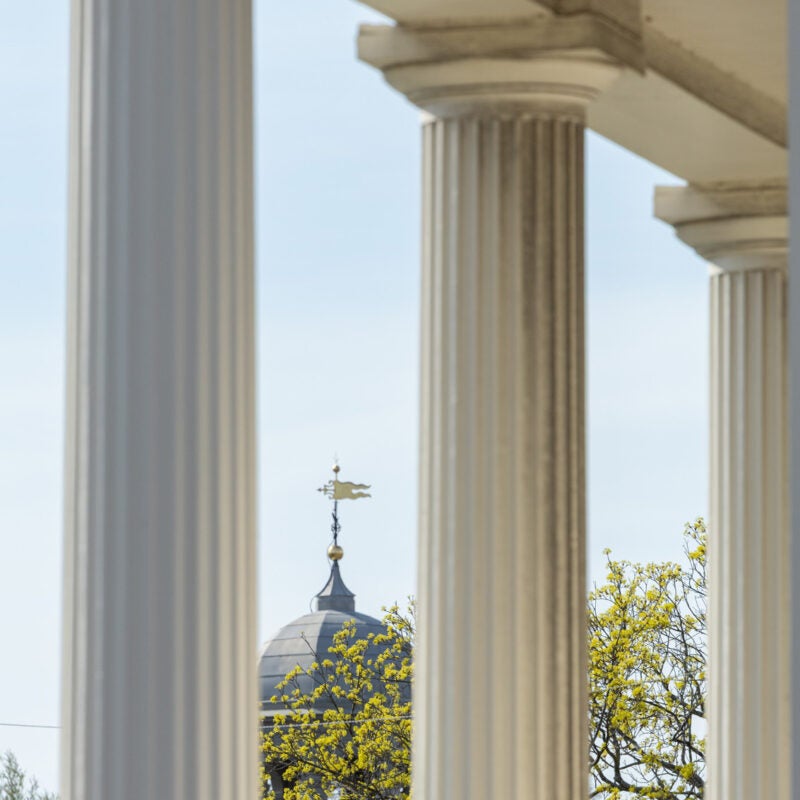 A springtime view towards the rooftop of a building through white columns.