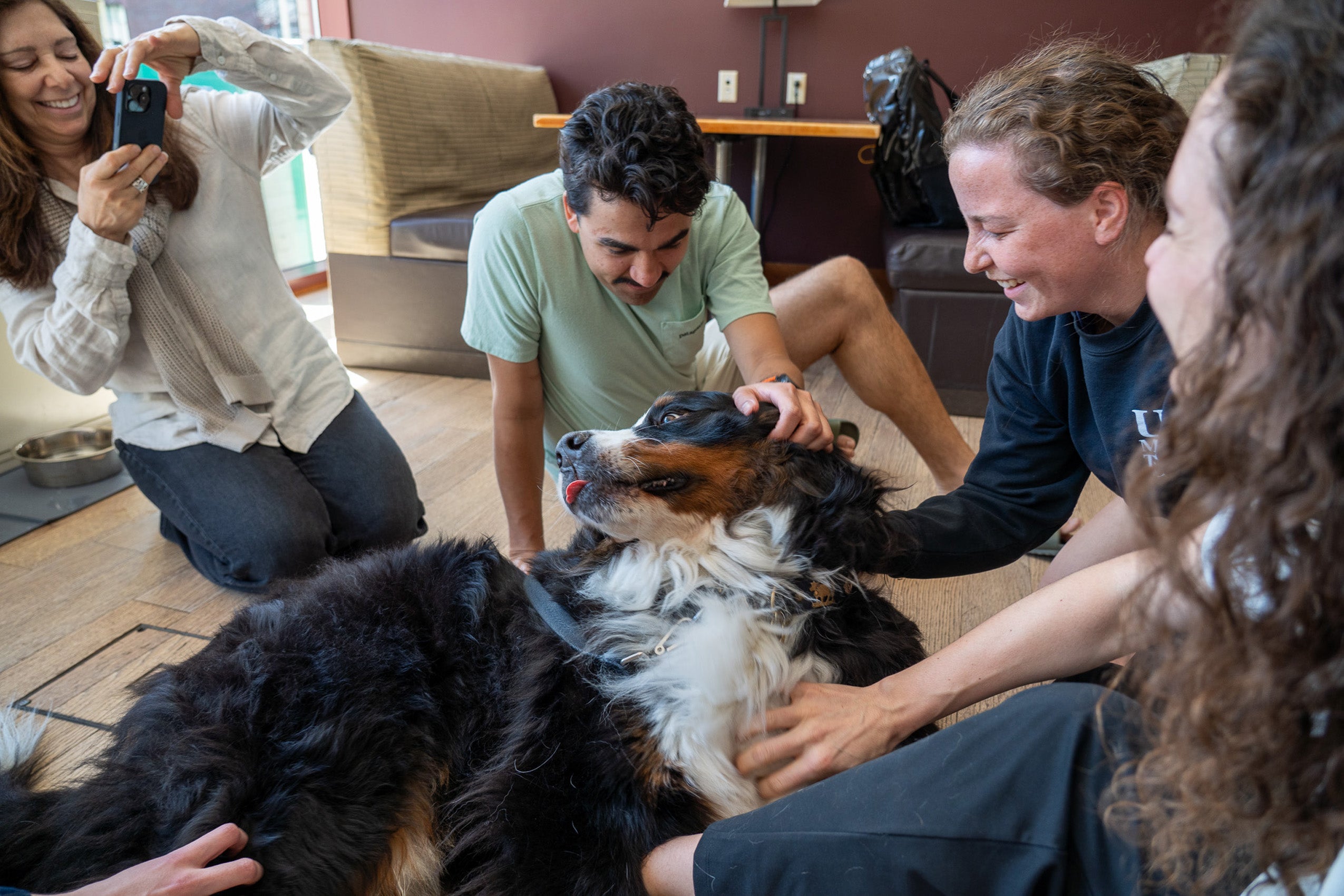 A group of students sitting on the floor pet a dog in the center.