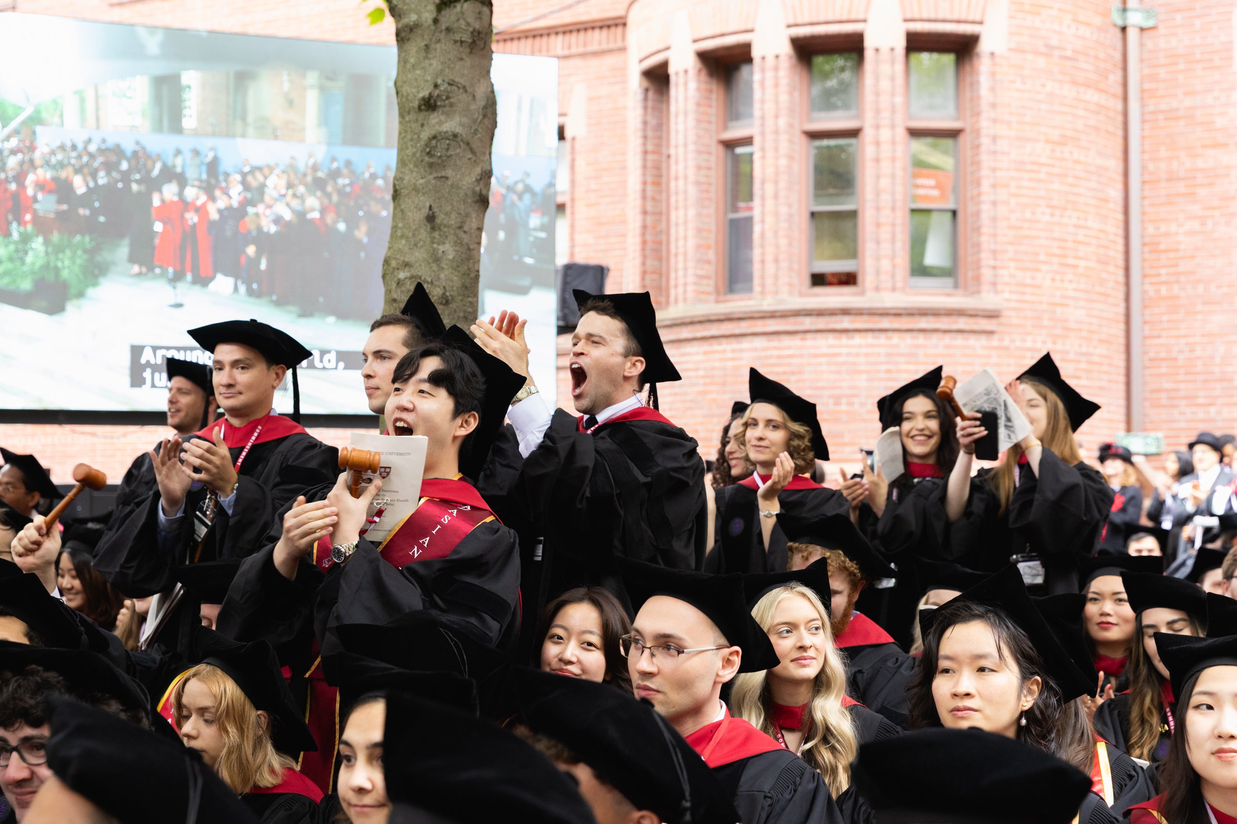 Graduates standing and cheering