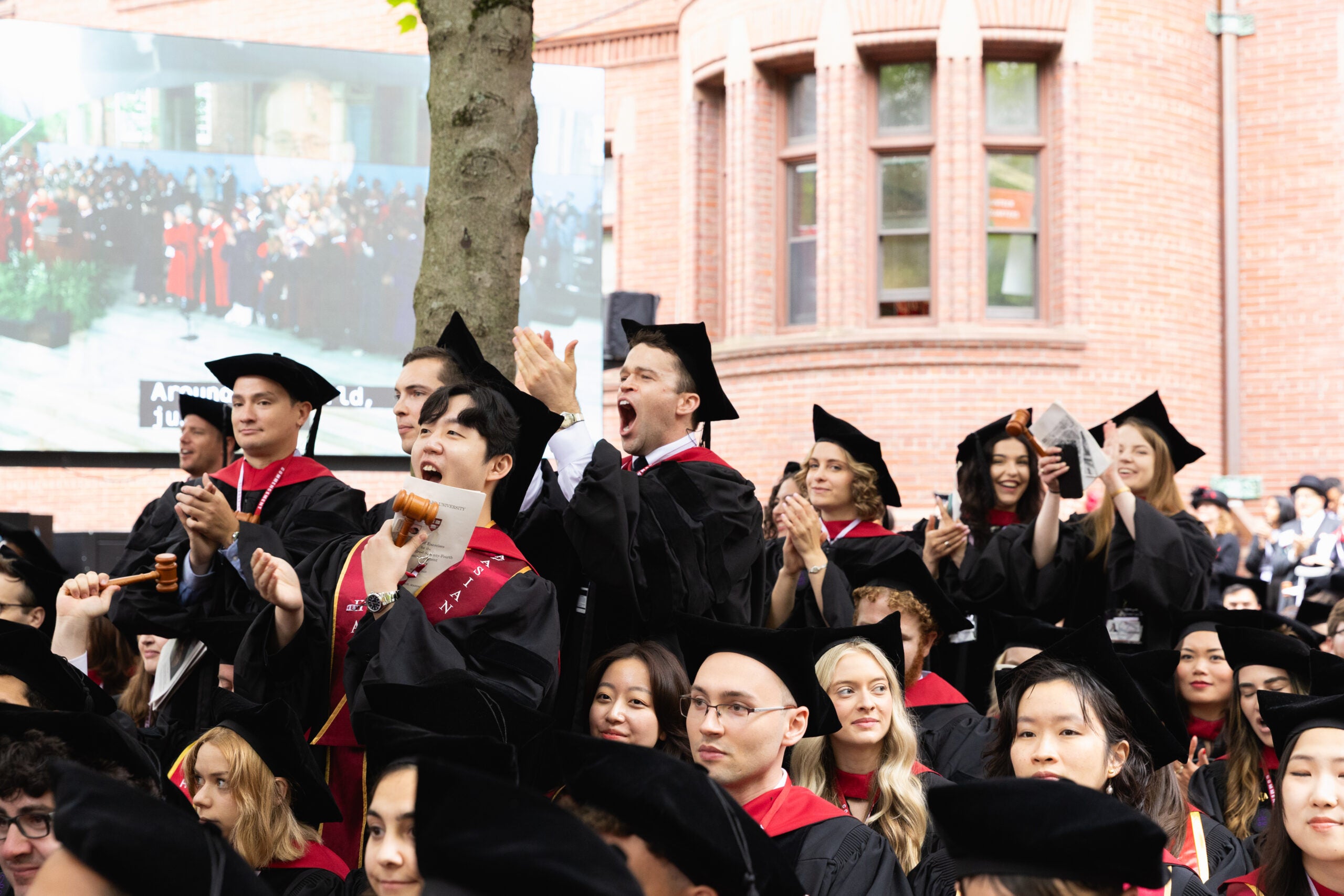 Graduates standing and cheering