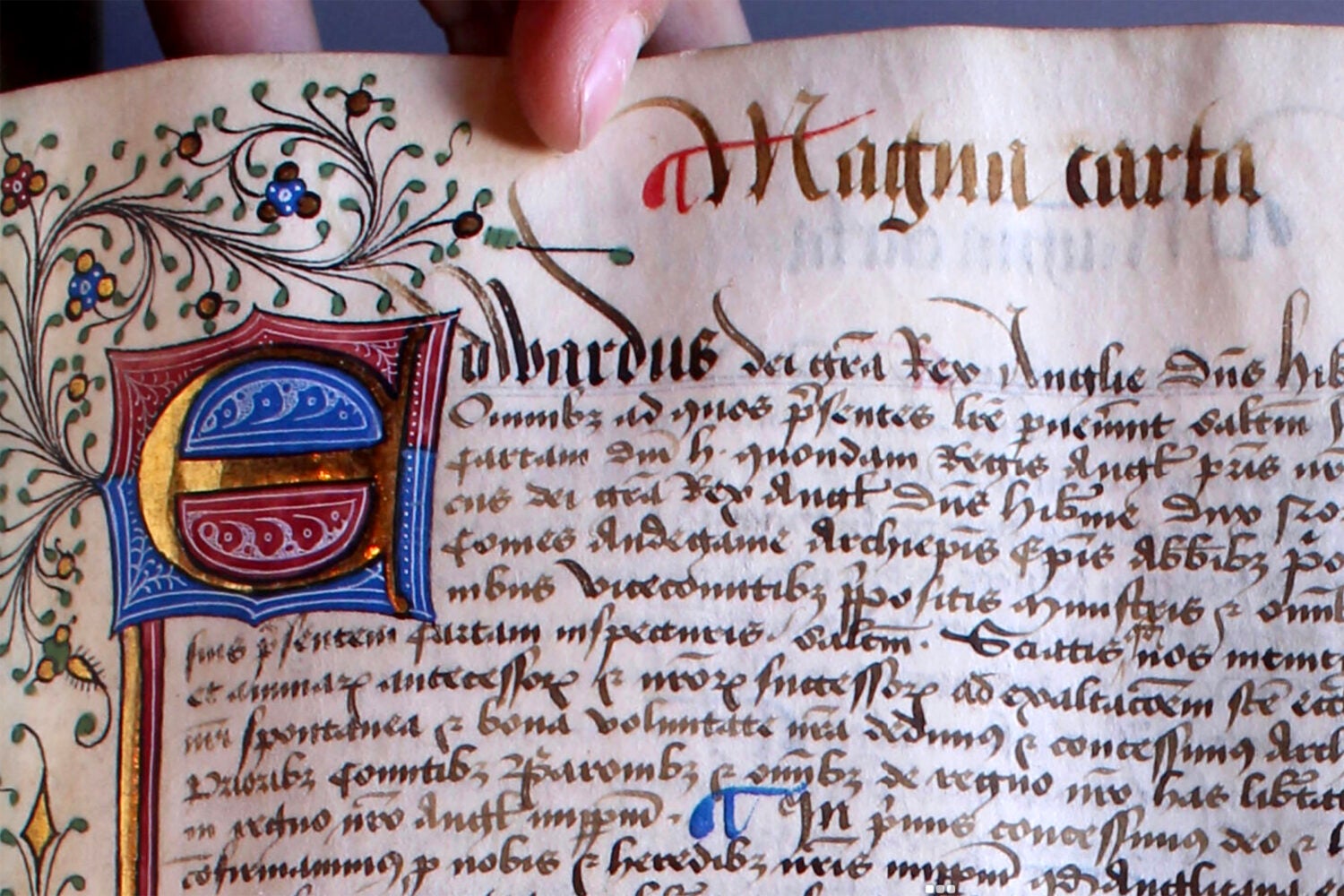 Detail of Magna Carta HLS MS 10.