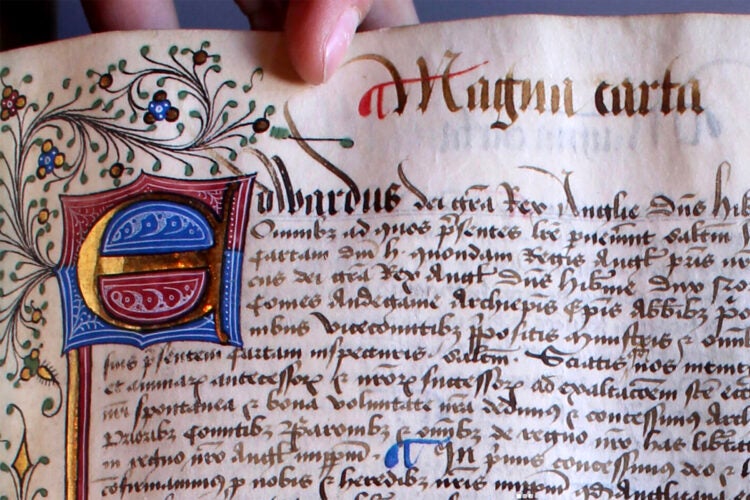 Detail of Magna Carta HLS MS 10.