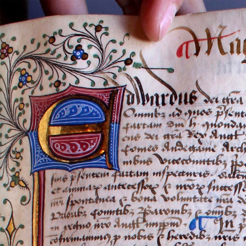 Detail of Magna Carta HLS MS 10.