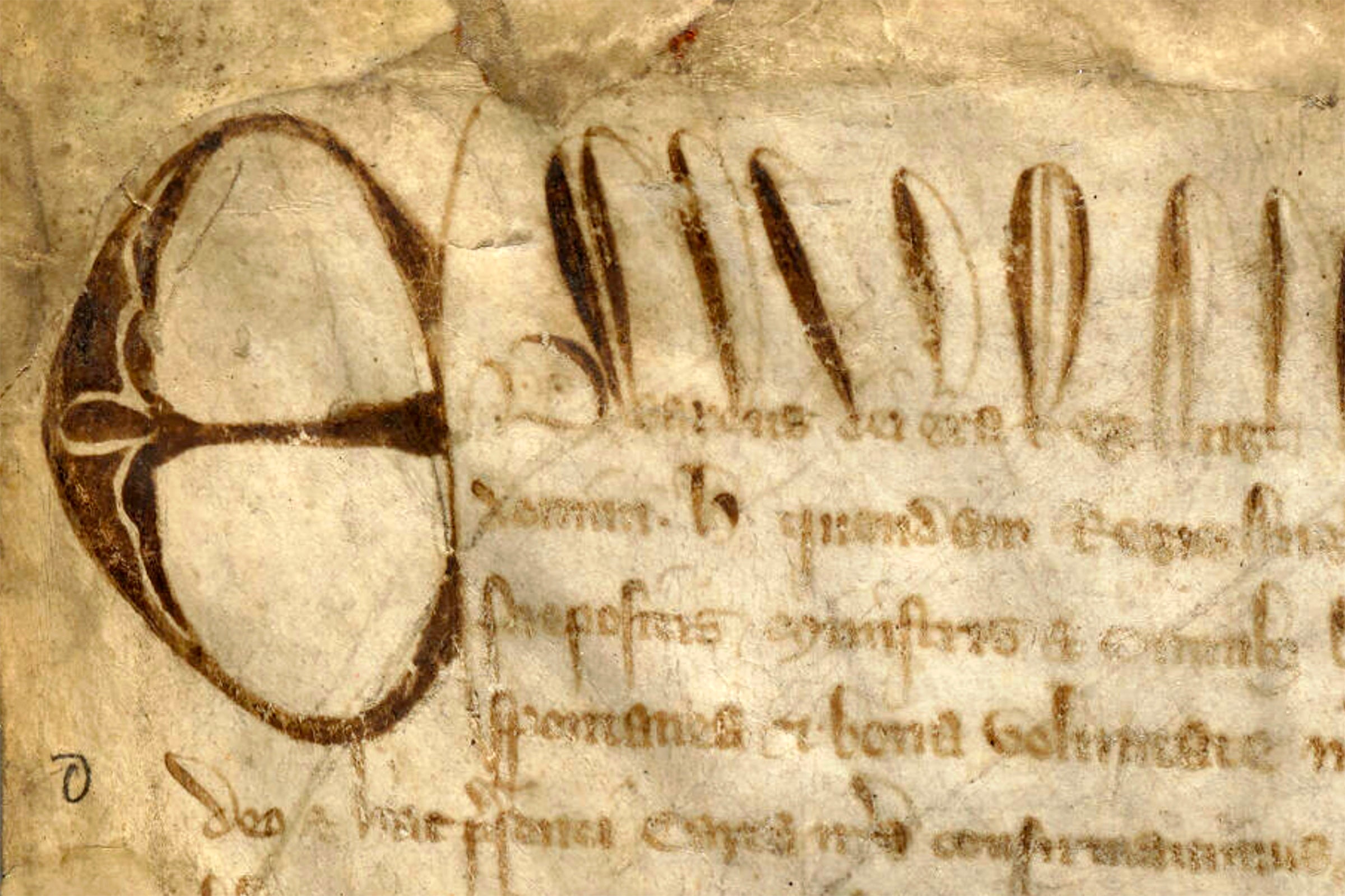 Featured image for Harvard Law School’s ‘copy’ of Magna Carta revealed as original article