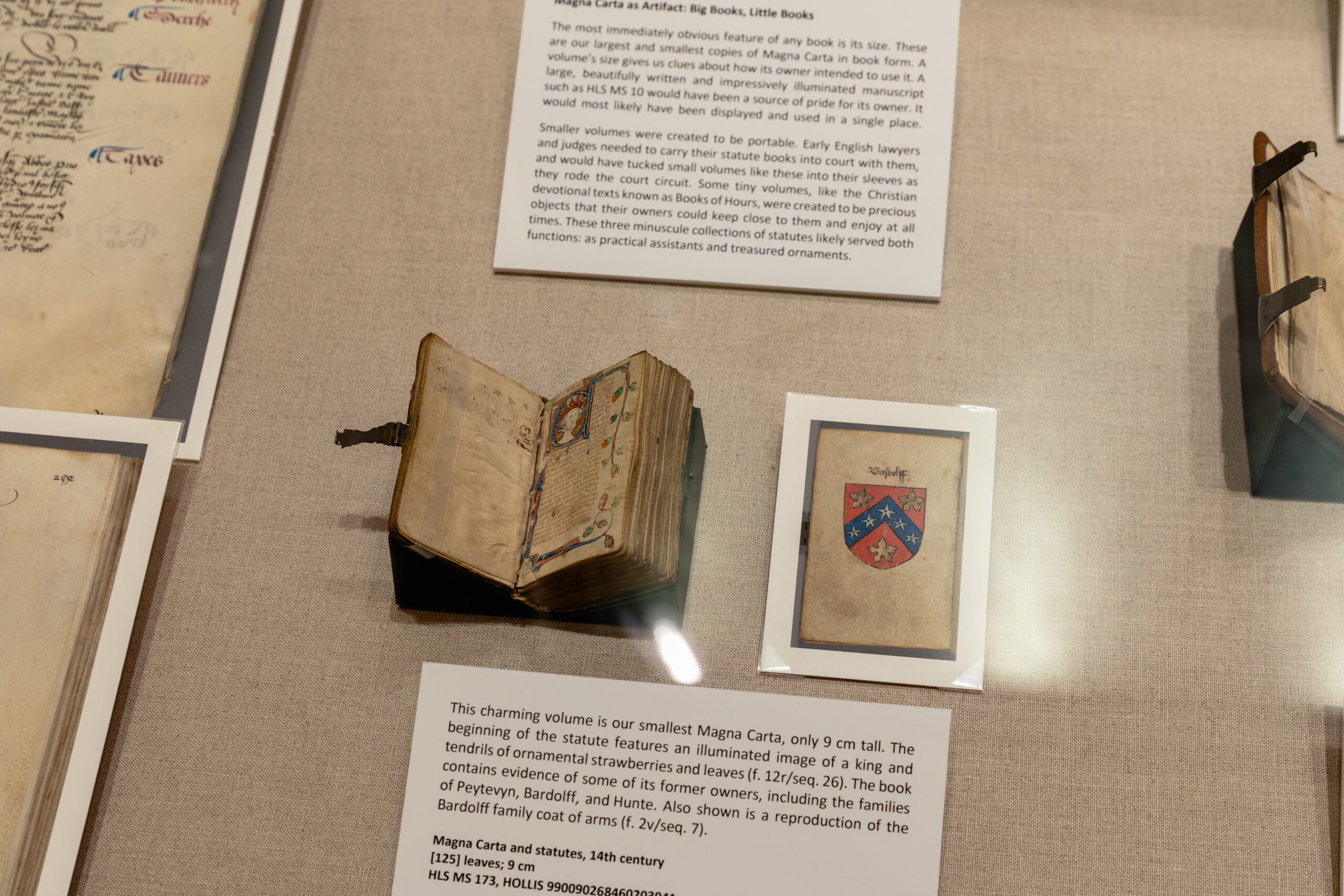 A view of the smallest Magna Carta in the HLS Library's collection in an exhibit case.