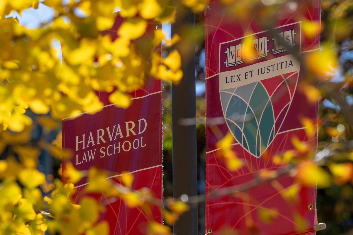 Fall leaves in front of a banner with the HLS shield.