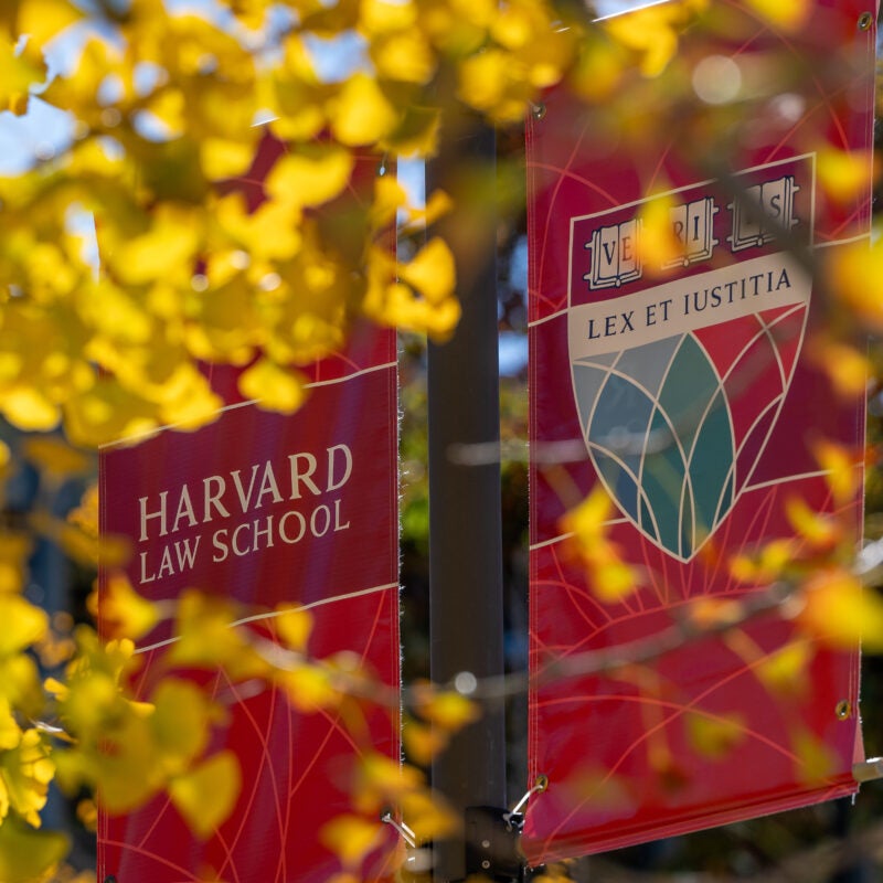 Fall leaves in front of a banner with the HLS shield.