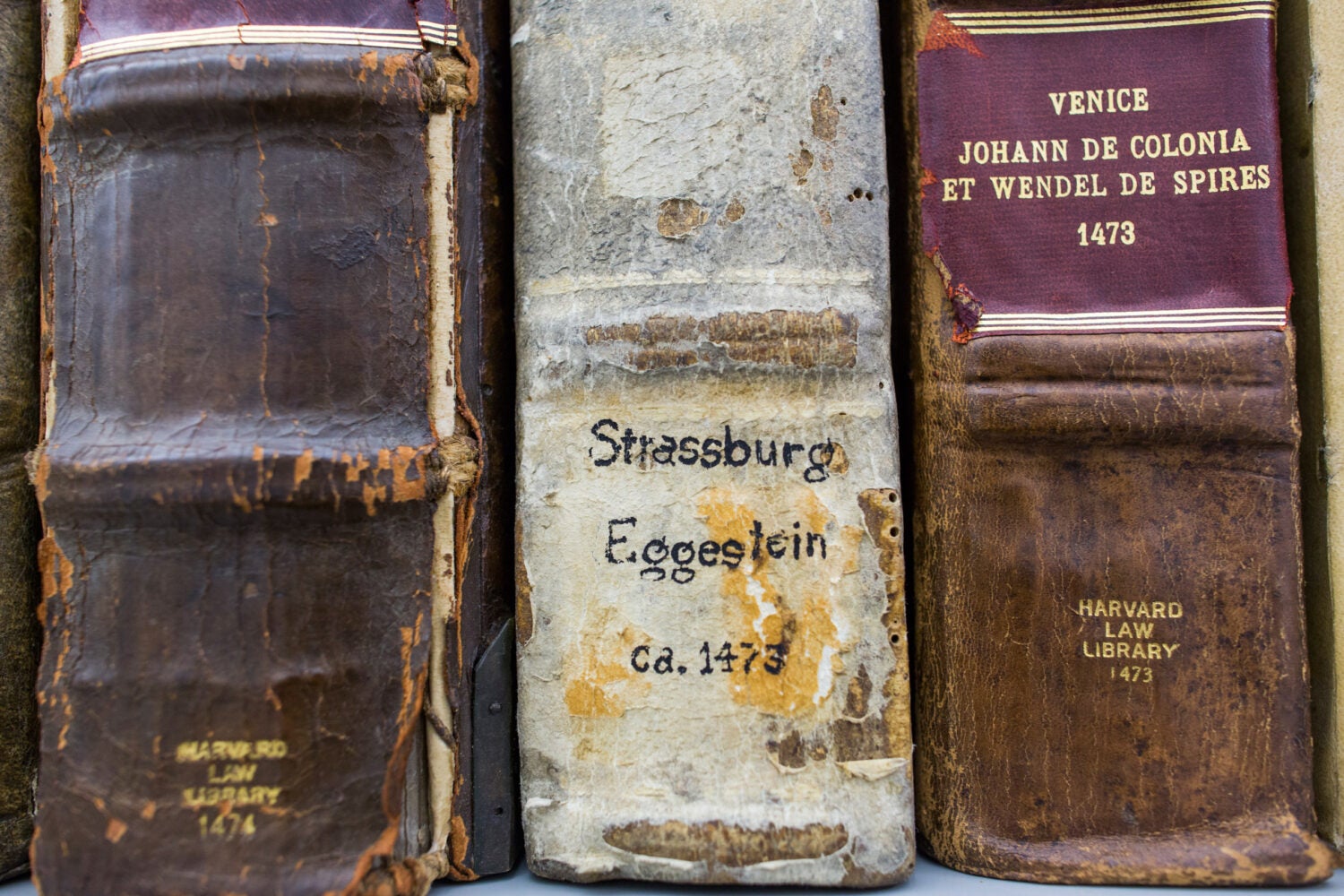 Detail of three rare book spines, printed before 1500.