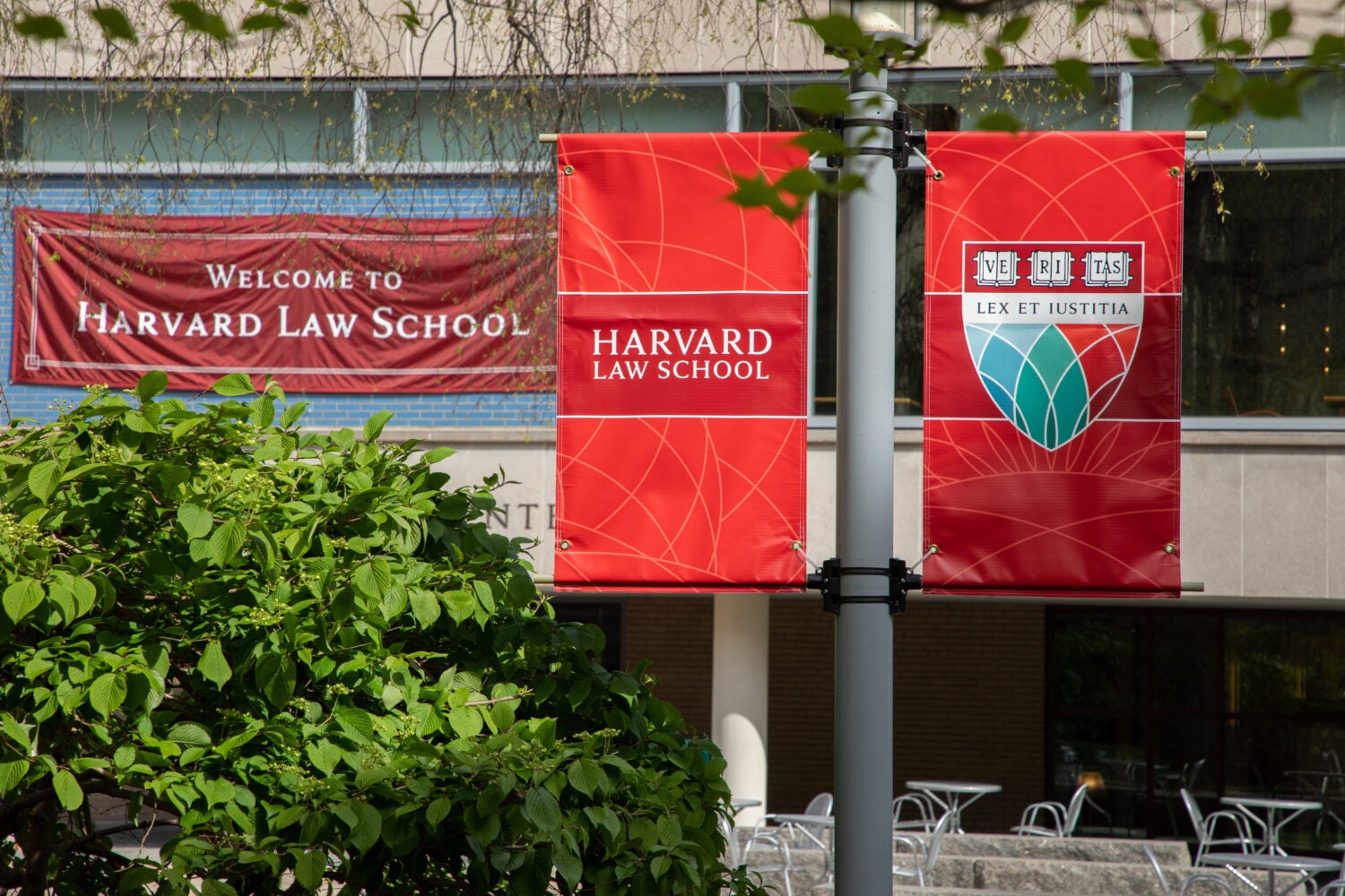 A Harvard Law School banner in front of a sign that says