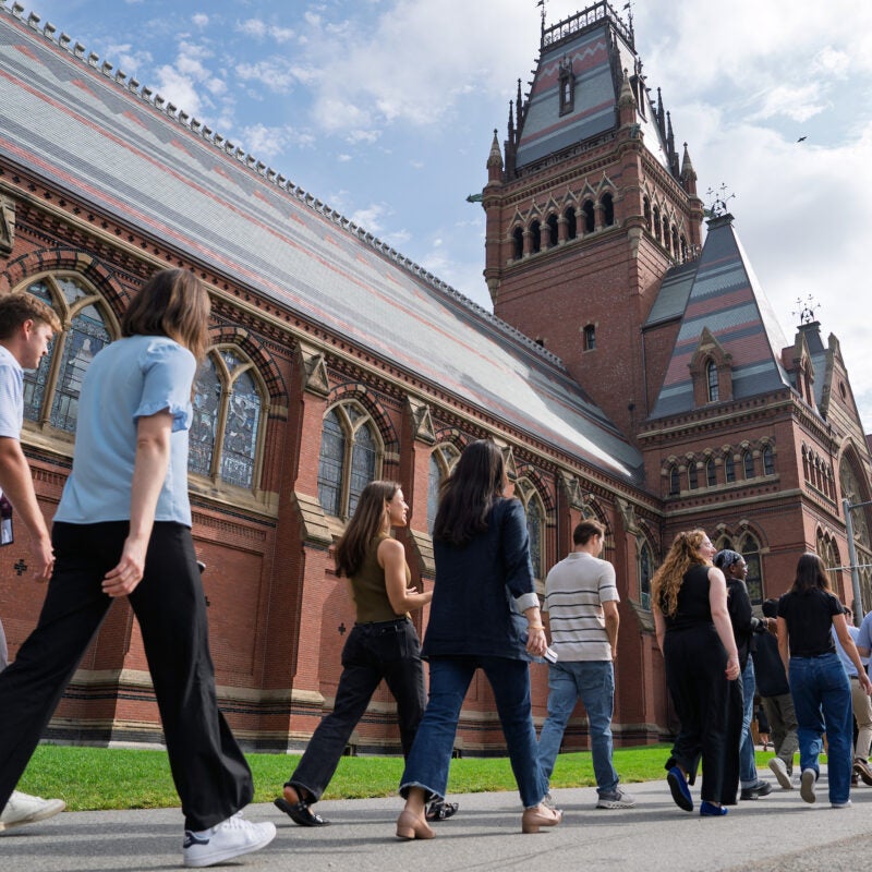 Students walk along the side of Memorial Hall on their way to Sanders Theatre for an orientation event.