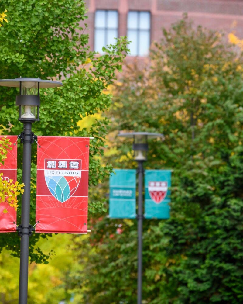 HLS banners on campus.