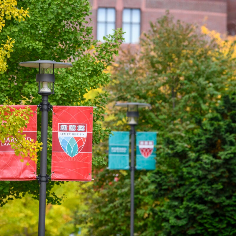 HLS banners on campus.
