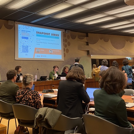 a presentation in a room at the U.N.