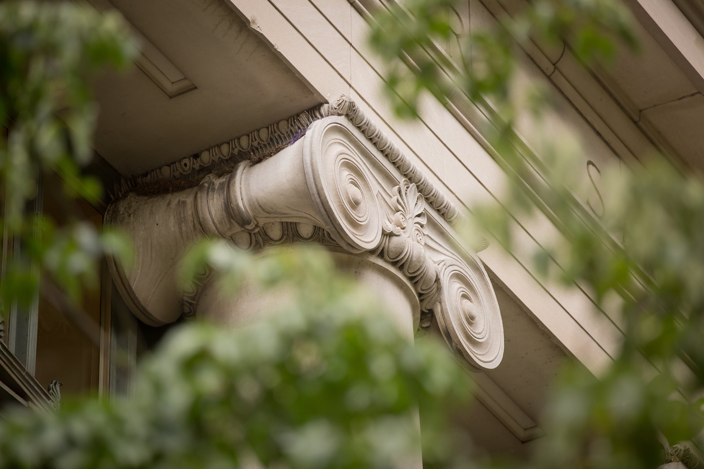 Featured image for Harvard Law faculty awards and achievements article