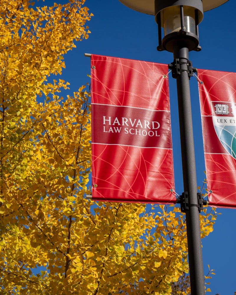 Harvard shield on red banner next to fall trees
