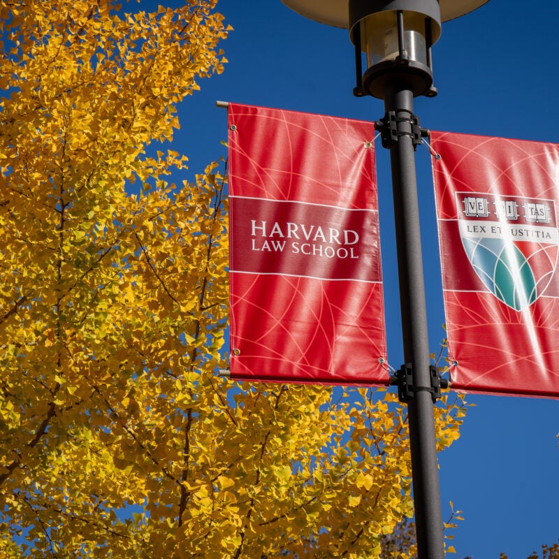 Harvard shield on red banner next to fall trees
