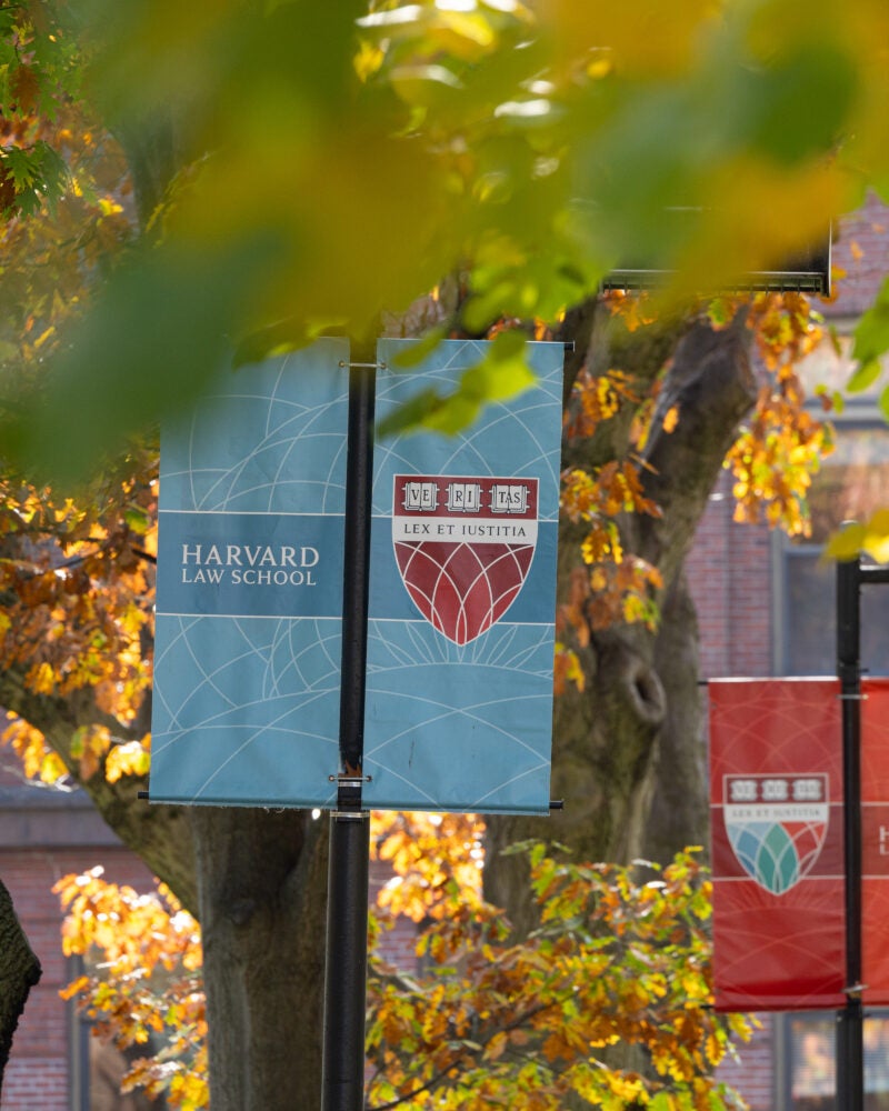 Fall scenes on the Harvard Law School campus.