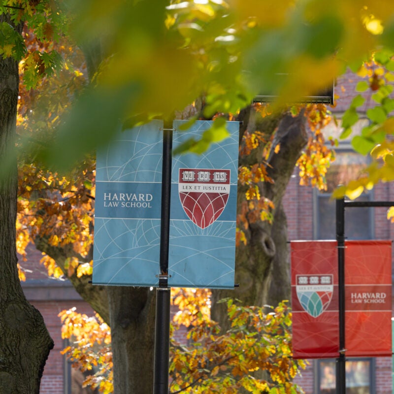 Harvard shield on blue, red, and teal banners next to fall leaves