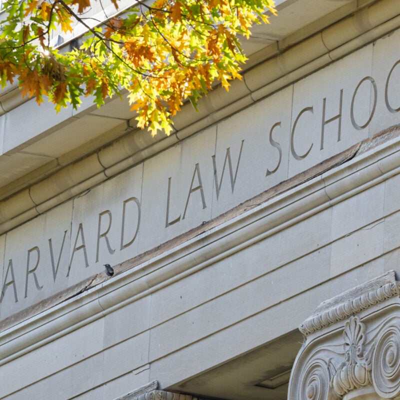 Harvard Law School building with fall trees
