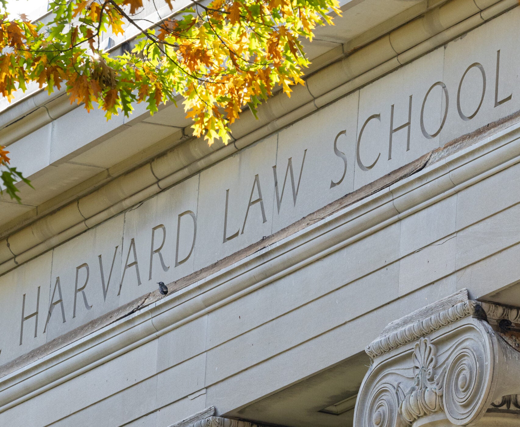 Featured image for November 2025 Service Milestones article