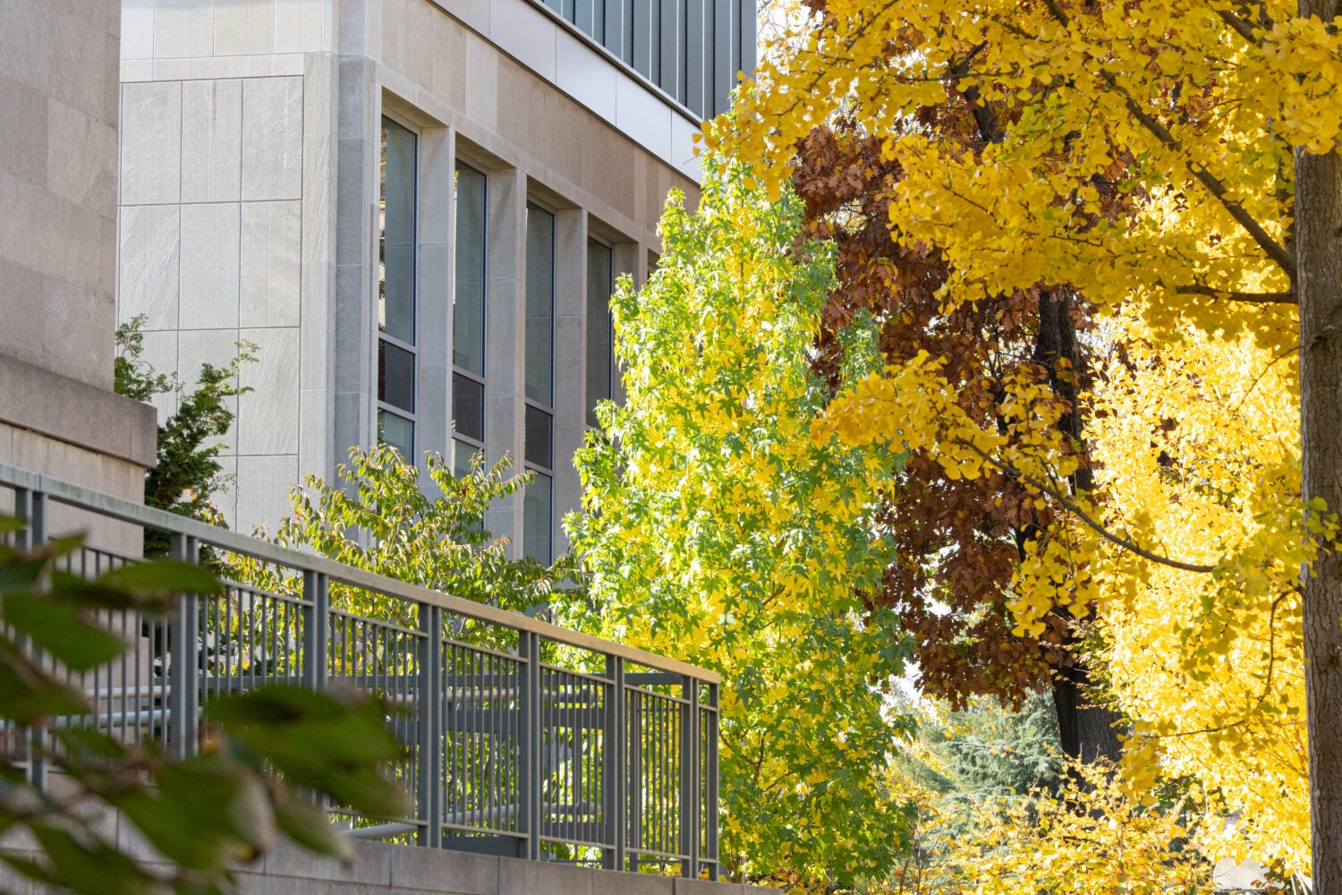 Reginald F. Lewis Law Center next to trees