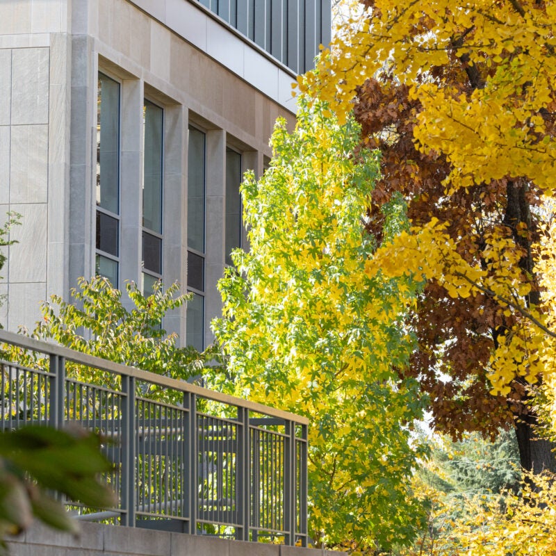 Reginald F. Lewis Law Center next to trees