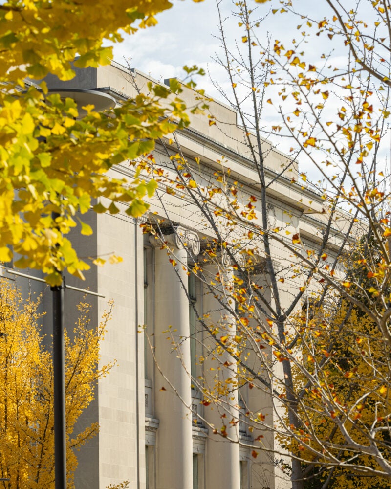 Langdell Hall surrounded by yellow fall trees