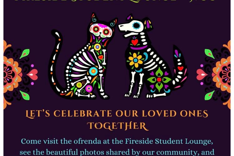 Image thumbnail for Dia de Muertos