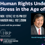 Human Rights Under Stress in the Age of AI event poster