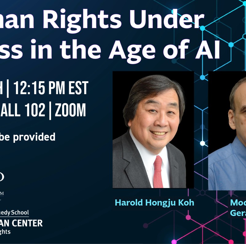 Human Rights Under Stress in the Age of AI event poster