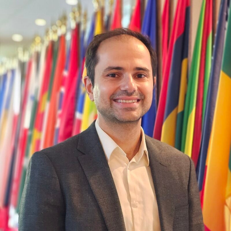 Person standing in front of flags