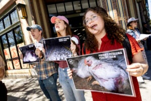 Three people stand in front of a store holding signs protesting a poultry farm.