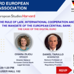 Event poster for Lunch Talk ECB’s Chiara Zilioli