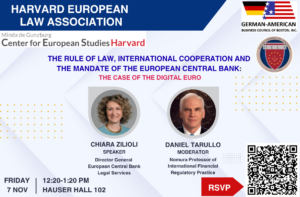 Event poster for Lunch Talk ECB’s Chiara Zilioli