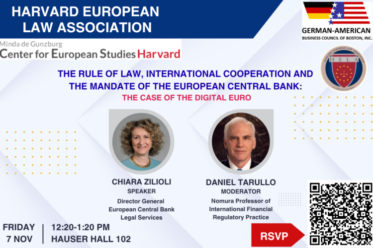 Event poster for Lunch Talk ECB’s Chiara Zilioli