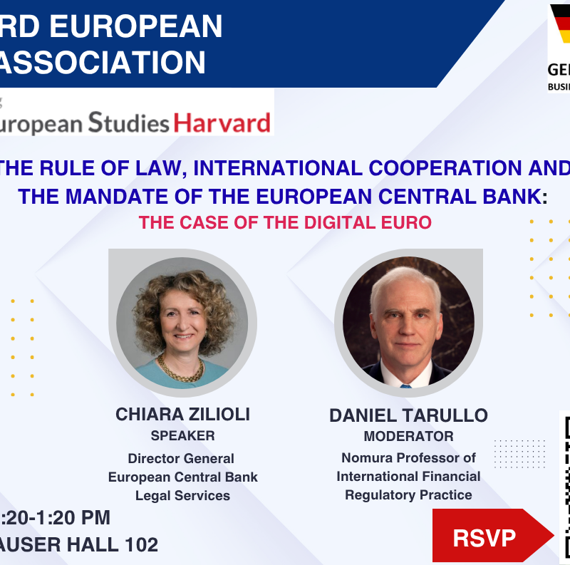 Event poster for Lunch Talk ECB’s Chiara Zilioli