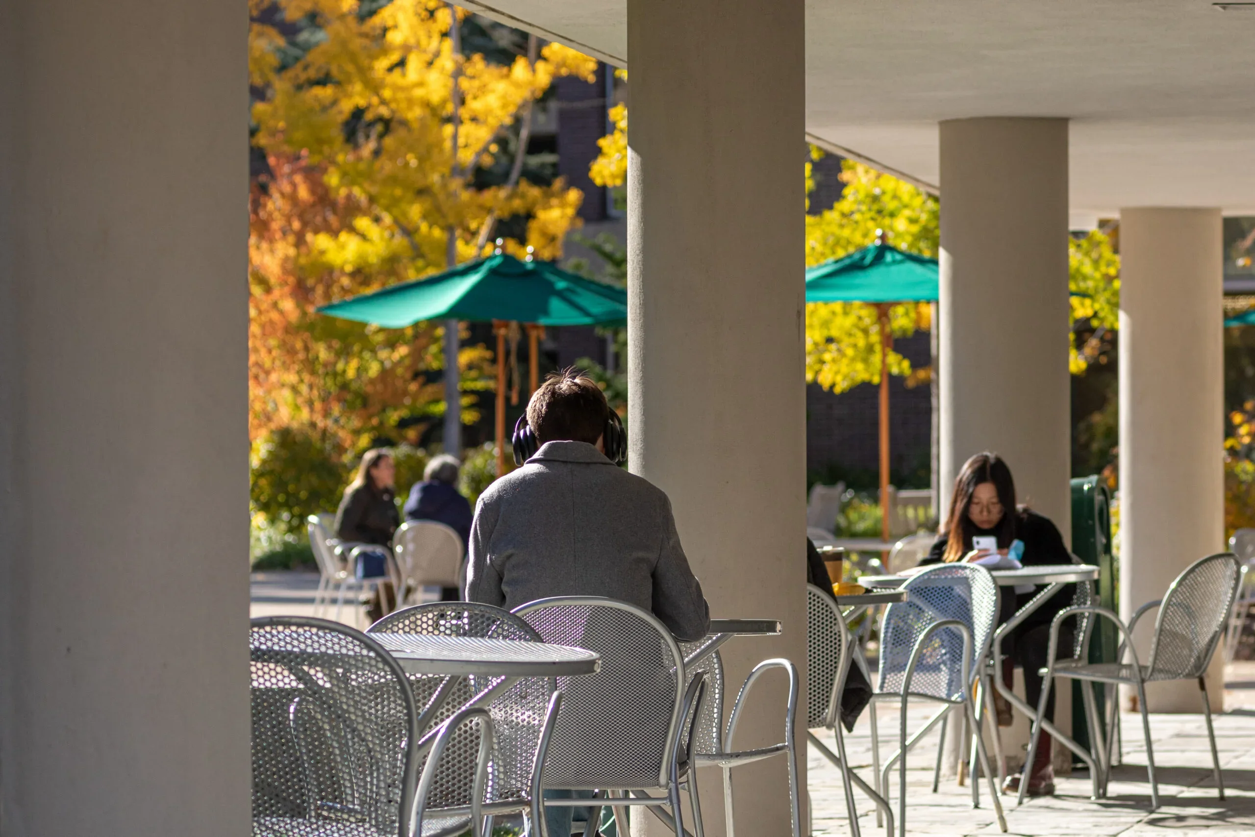 Students on the HLS campus