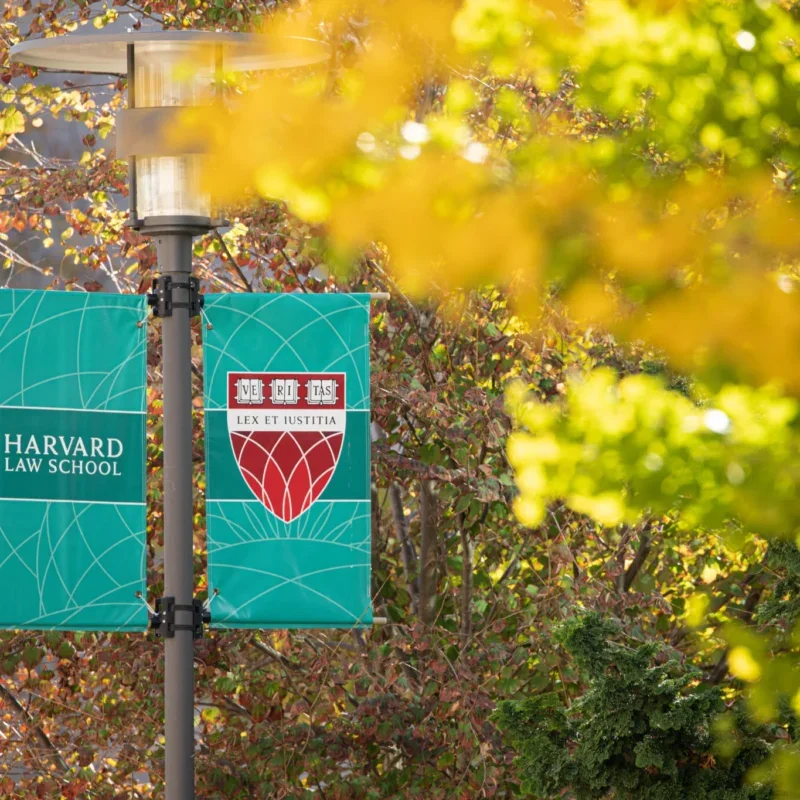 Harvard shield on teal banner next to fall leaves