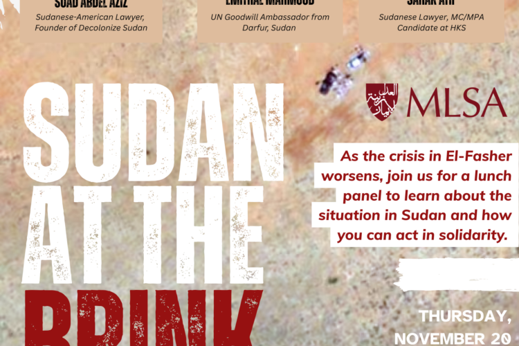 Image thumbnail for Sudan at the Brink: A Call to Action