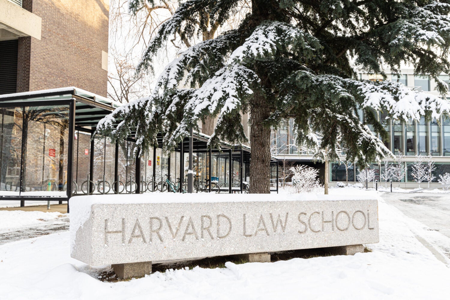 Stone bench engraved with Harvard Law School across the front