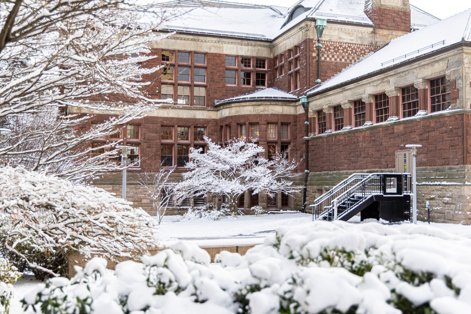 Snow covering Austin Hall
