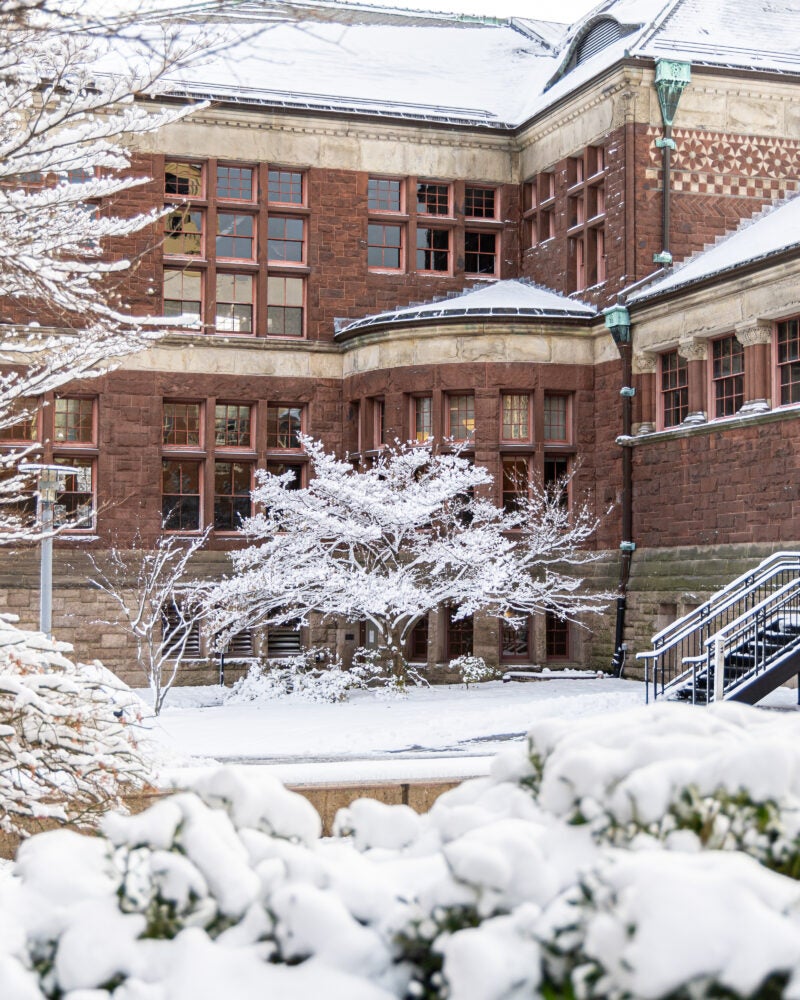Snow covering Austin Hall