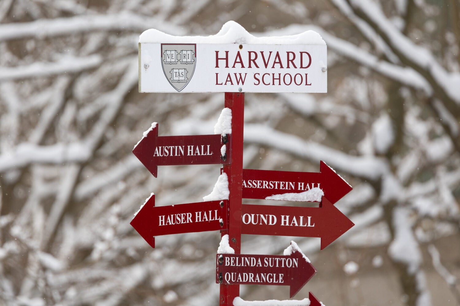 Directional sign of HLS buildings covered in snow