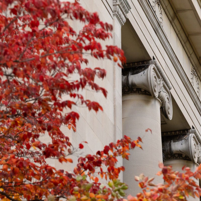 Red and orange leaves next to Langdell