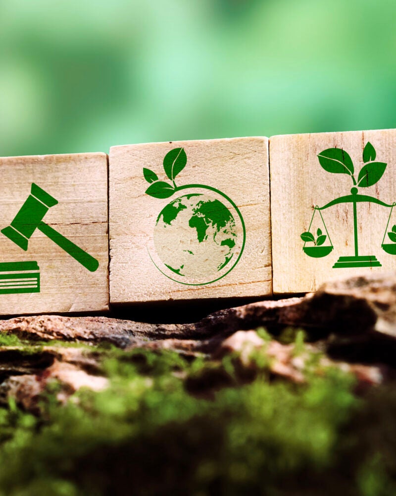 Three environmental law icons on blocks situated on a mossy rock.