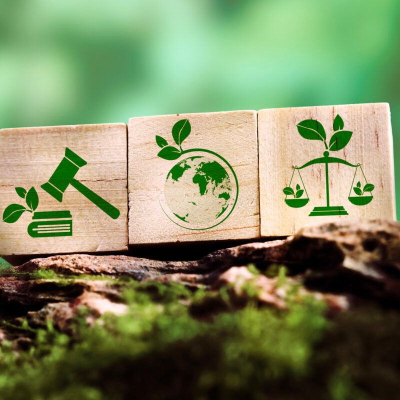 Three environmental law icons on blocks situated on a mossy rock.