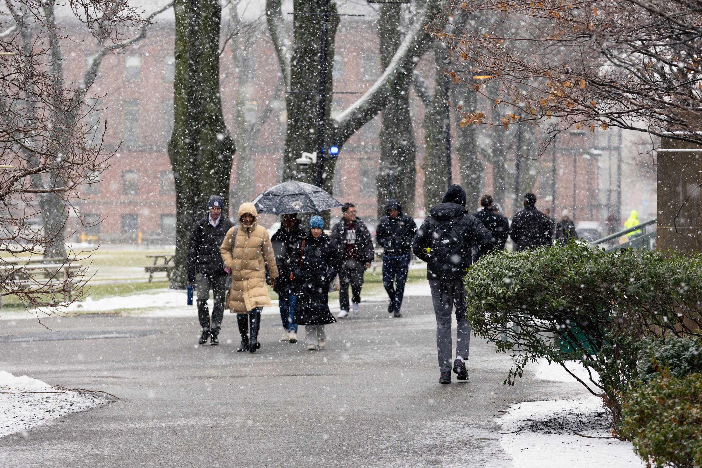 Crowd of people walking along a pathway on a snow day on campus.