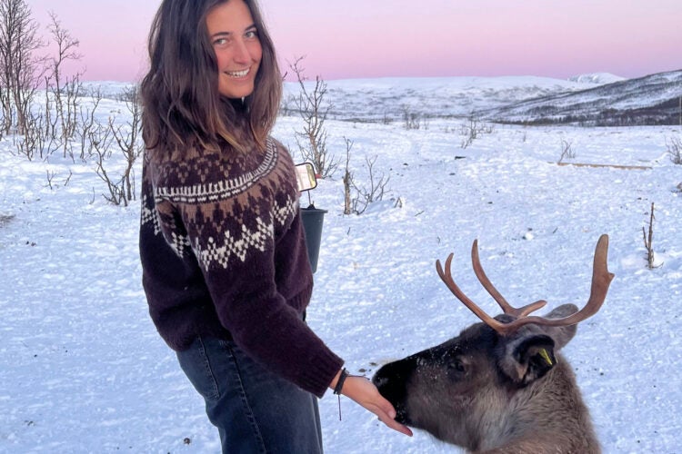 Maria Morrison pets an animal with horns.